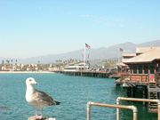 Montecito Coastal Restaurant
